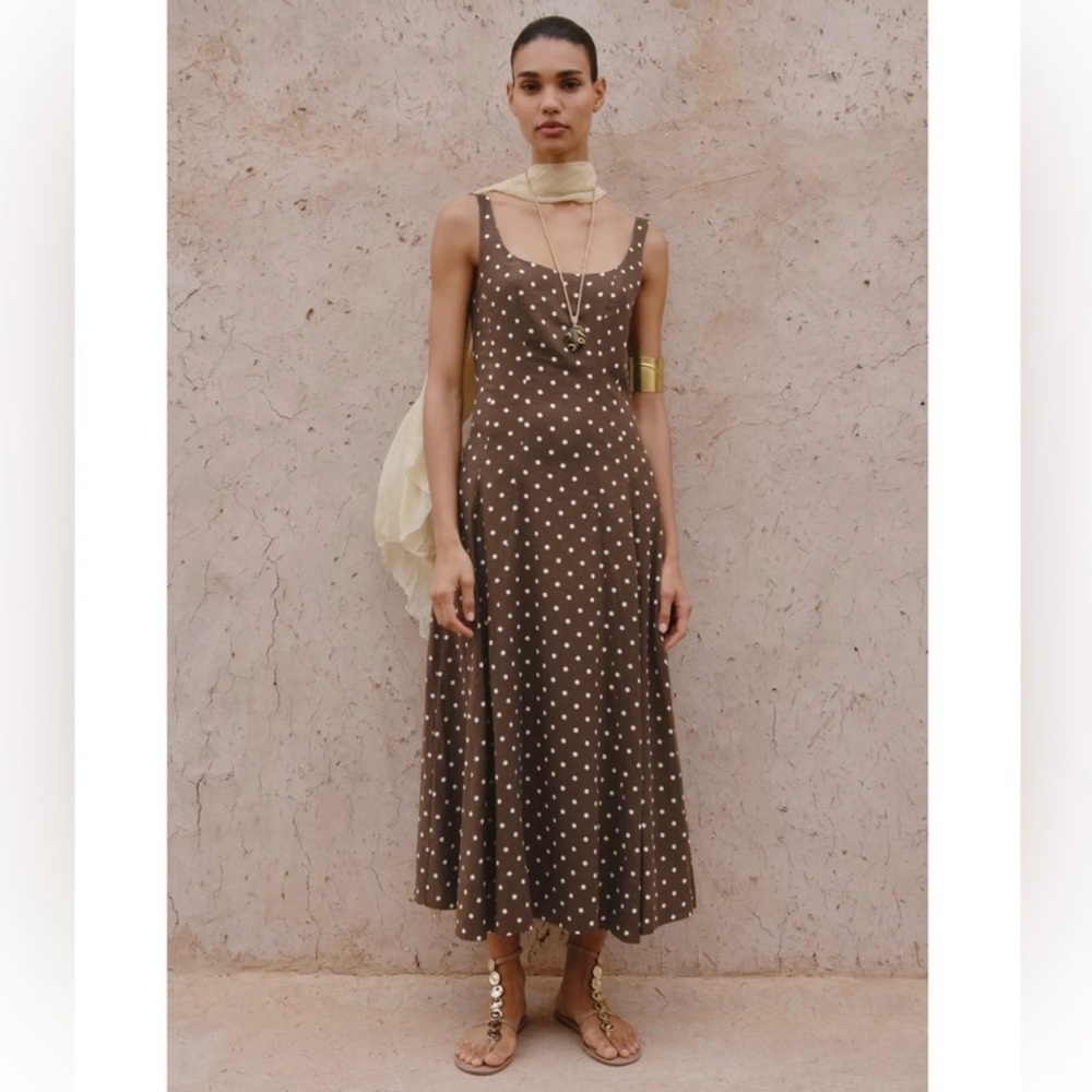 Zara Brown Polka Dot Midi Dress